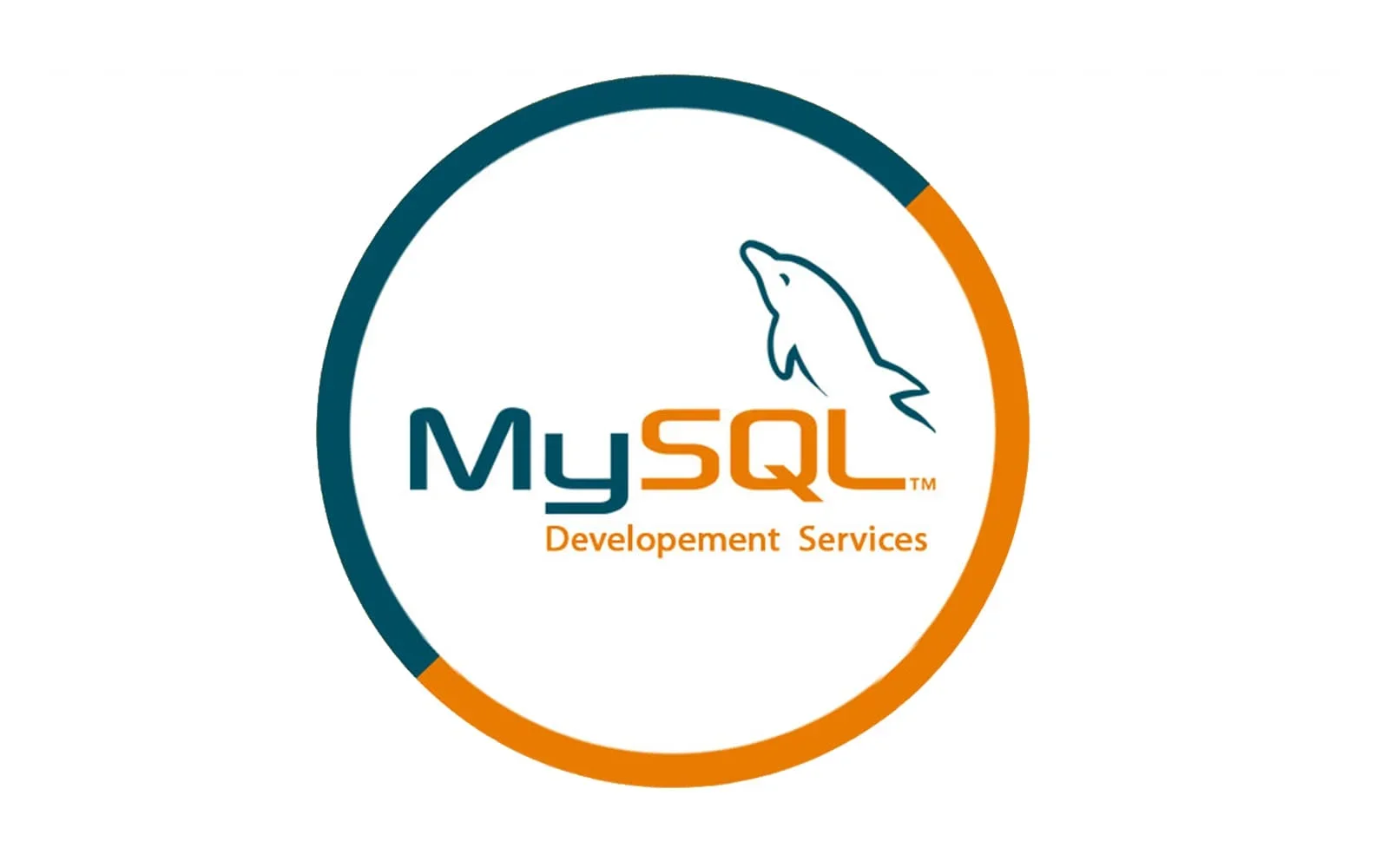 MySQL Web Development Tool