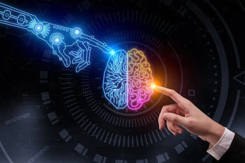 A Complete Guide to Brain Anatomy: Understanding the Structure Behind Human Thought