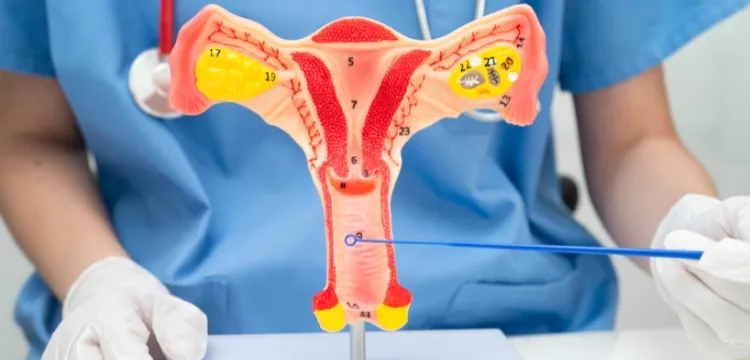 A Gynec Doctor in Ahmedabad Shares Tips for Better Reproductive Health