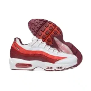 Introduction to the air max 95 corteiz Hoodie