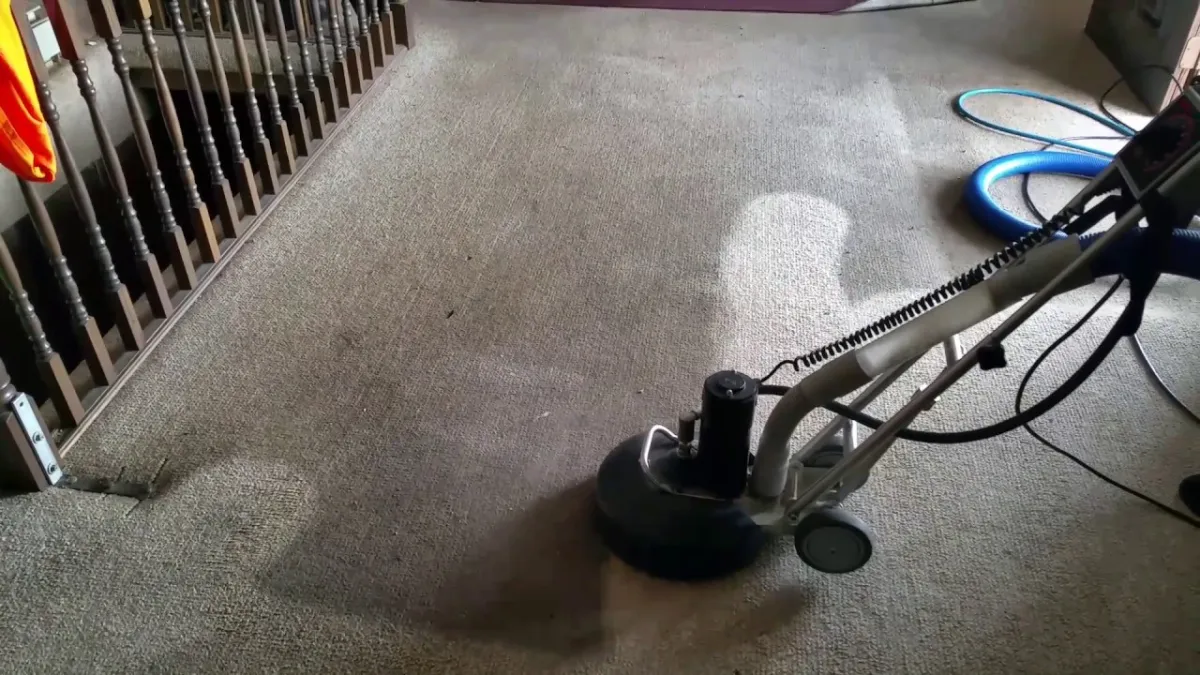 How Much Does Carpet Cleaning Wembley Cost? Full Guide