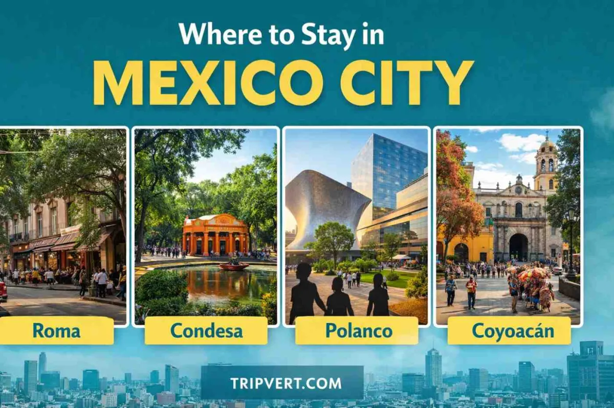 A Traveler’s Guide to the Best Areas to Stay in Mexico City
