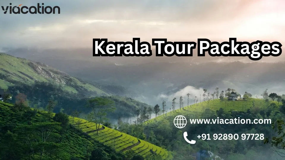 Safe Kerala Trips for Solo and Female Travelers