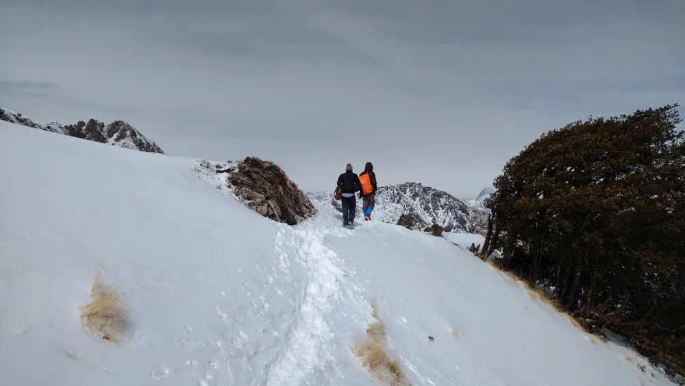 Kuari Pass Trek Best Time: Complete Guide