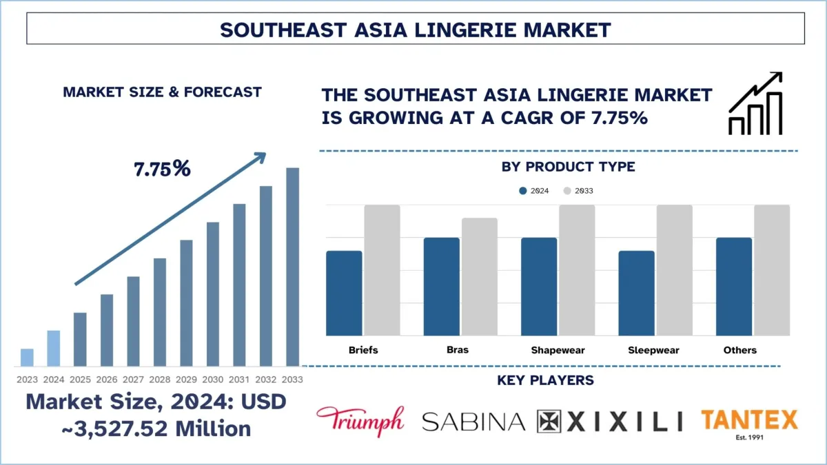 Southeast Asia Lingerie Market Size, Demands, Growth & Analysis 2033