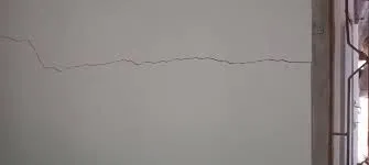 What Are the Most Common Causes of Cracks in Buildings?