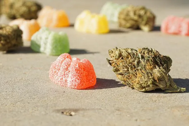 How to Choose High-Quality Vegan Edibles Easily