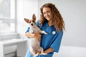 How Vet Doctors Treat Common Skin Problems in Pets