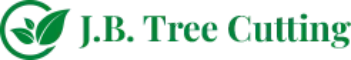 Rooted in Safety: Why Hiring a Professional Tree Surgeon in Galway is Essential for Your Property