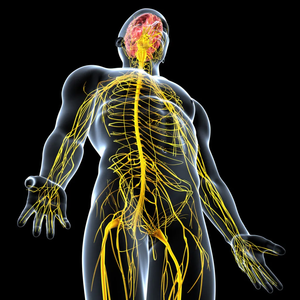 Gabatop 800mg for Diabetic Nerve Issues – Uses, Benefits & Dosage