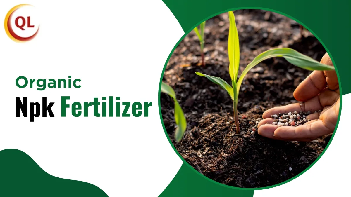 Organic NPK Fertilizer: A Smart Choice for Eco-Friendly Farming