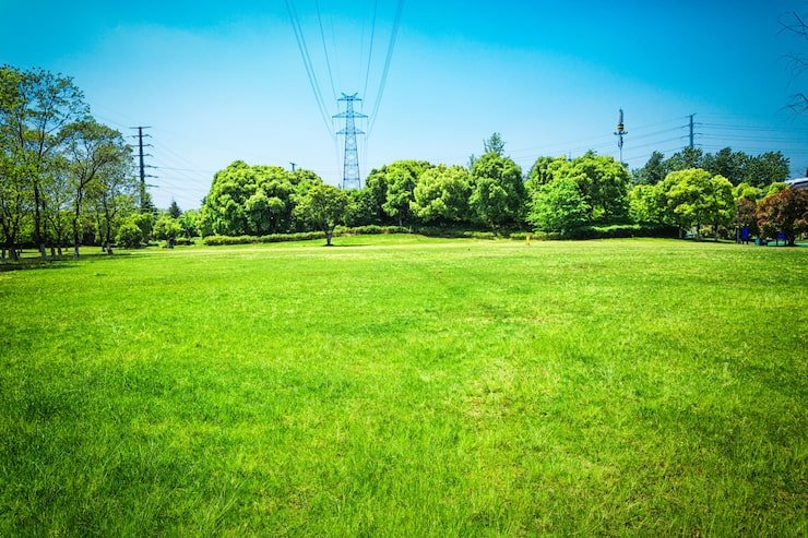 Rustomjee Plots Kasara Thane | Invest Early
