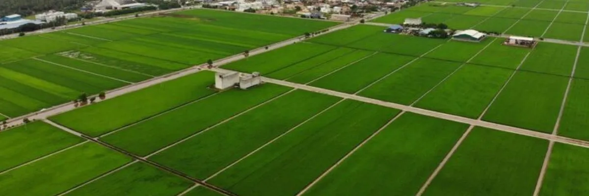 Sameera Kanchi Big Town | Gated Plot Community